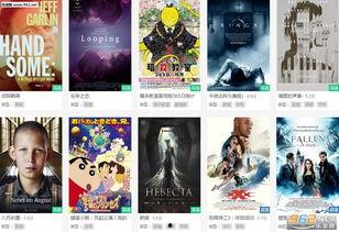 风筝视频播放器下载安装 